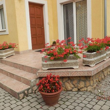 Zsuzsanna Haz Hotel Heviz Bagian luar foto