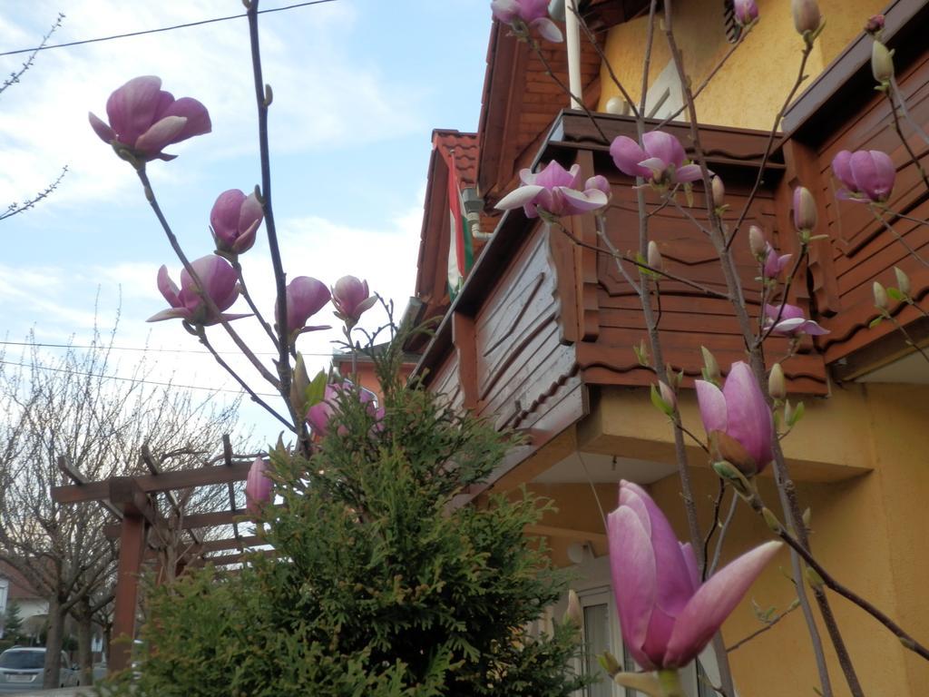 Zsuzsanna Haz Hotel Heviz Ruang foto