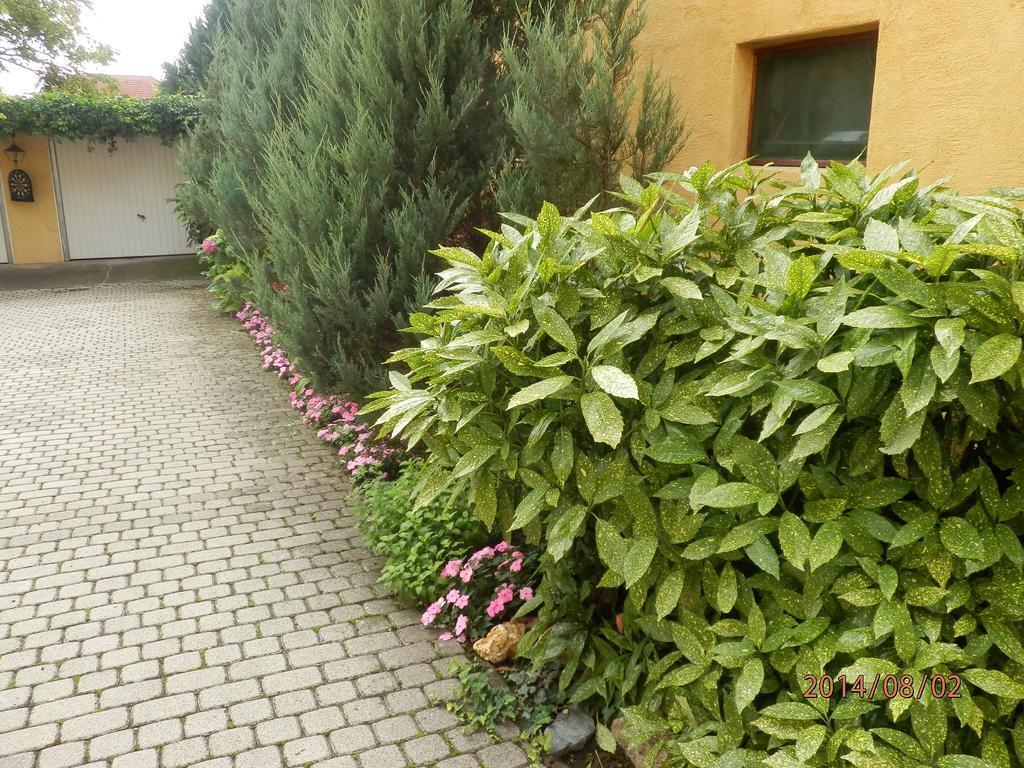 Zsuzsanna Haz Hotel Heviz Bagian luar foto